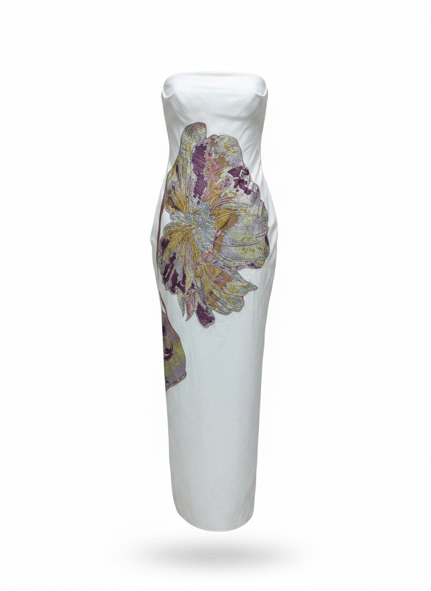 Paniazima Strapless Embroidered Maxi Dress
