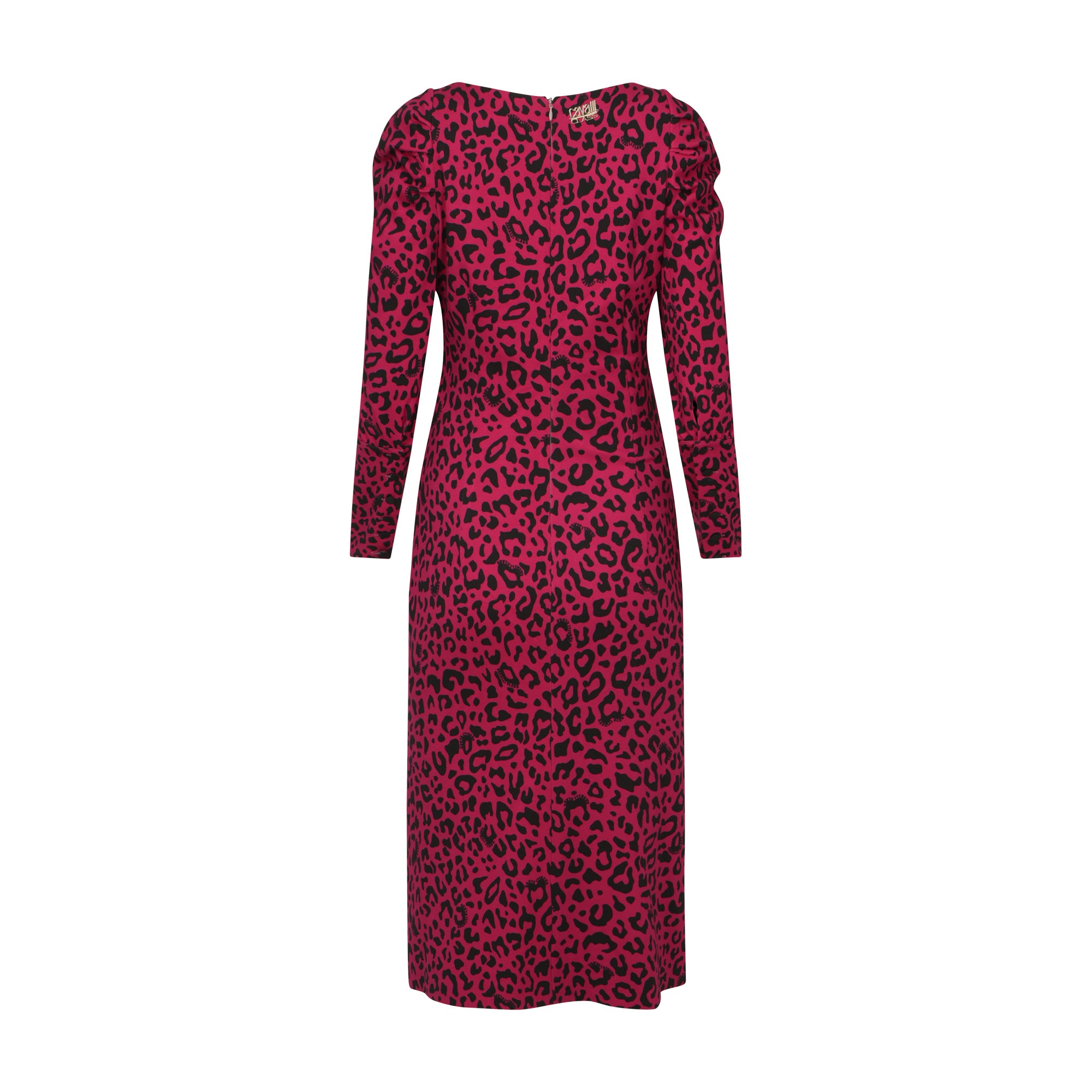 Roberto Cavalli Class Leopard Dress