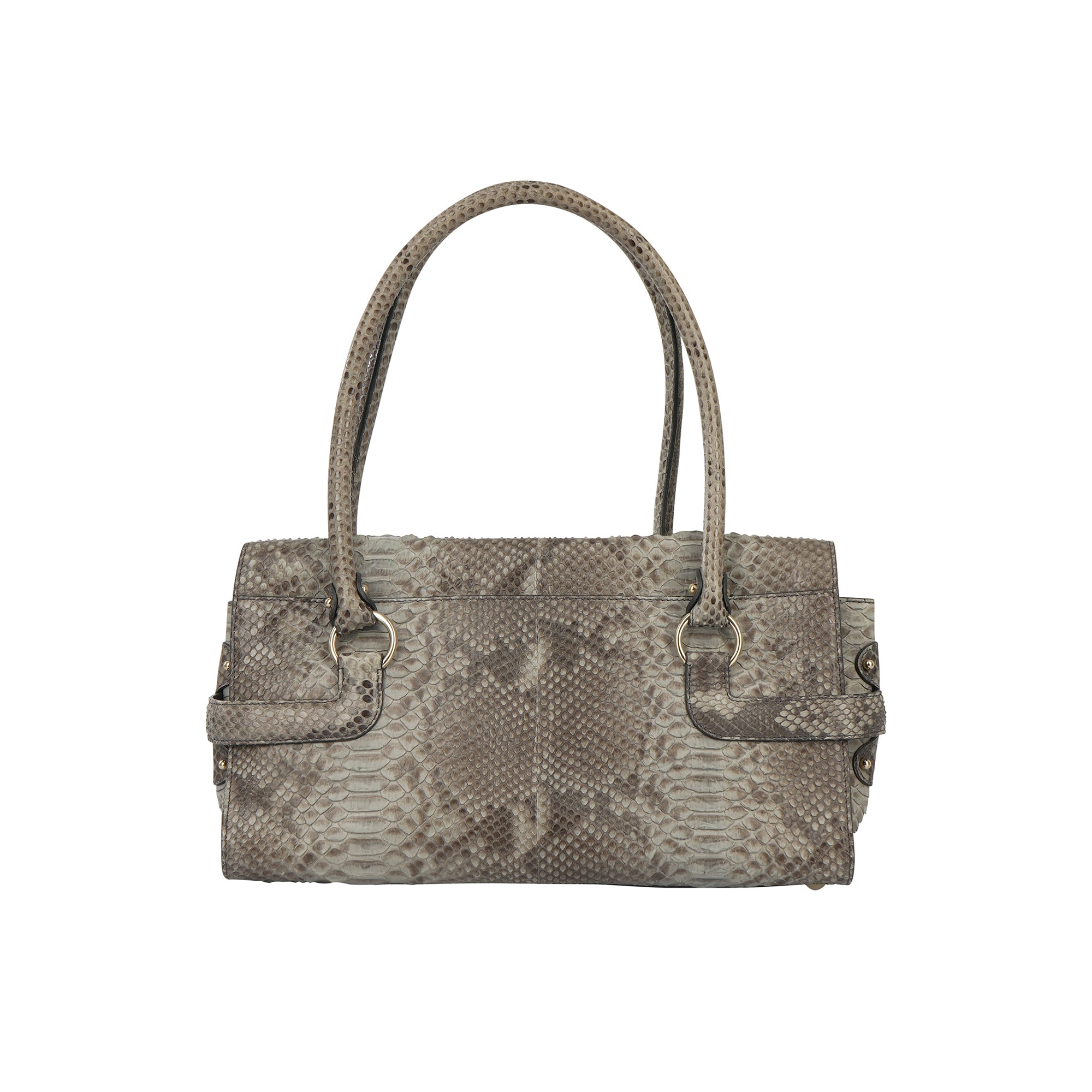 Salvarote Ferragamo Python bag