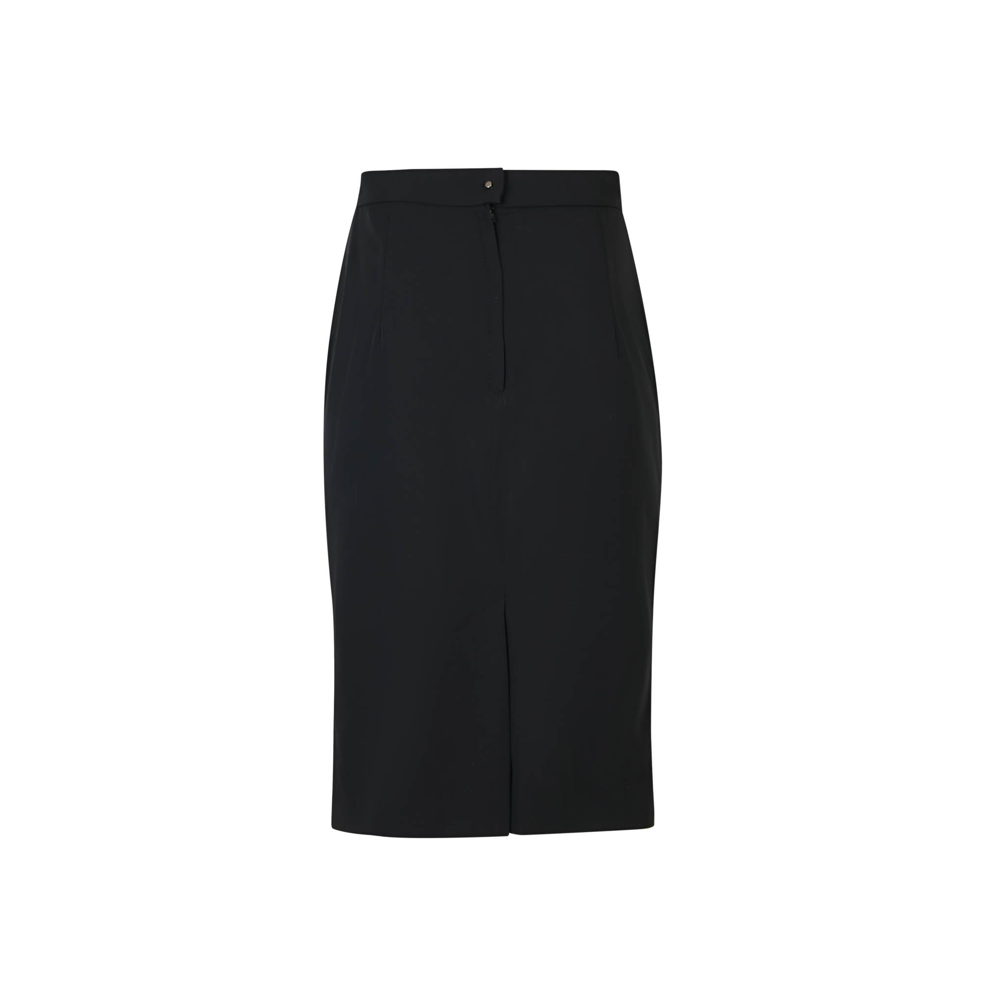 Lanvin Skirt