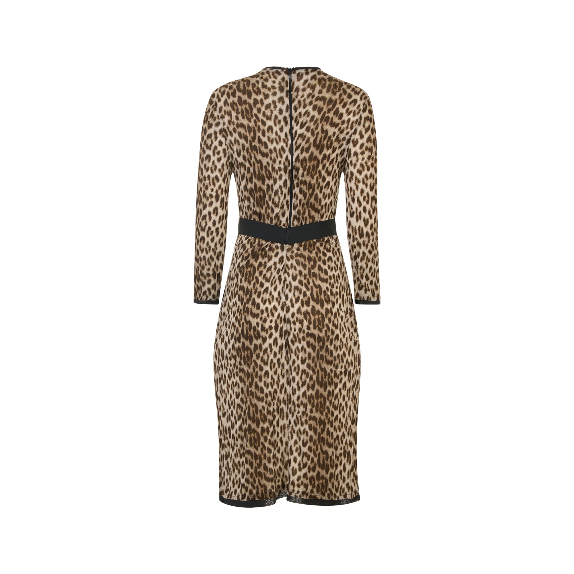 Lanvin Animal Print Dress