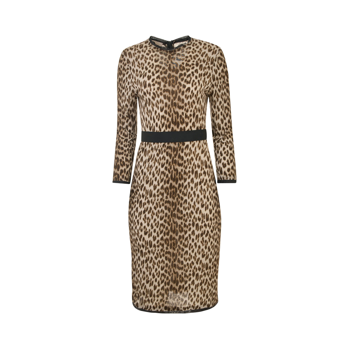 Lanvin Animal Print Dress